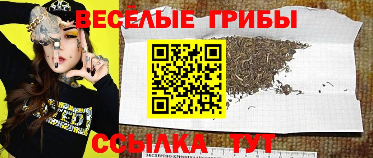 Псилоцибиновые грибы мухоморы  где купить наркоту  Псилоцибиновые грибы Magic Shrooms  Дзержинск  Вход с VPN 