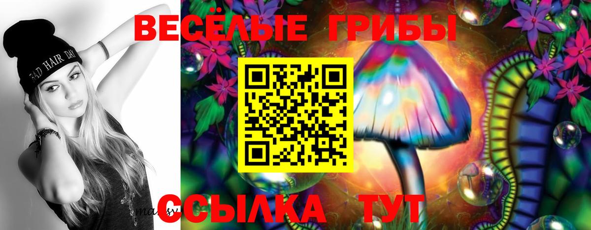 Галлюциногенные грибы Psilocybe Дзержинск